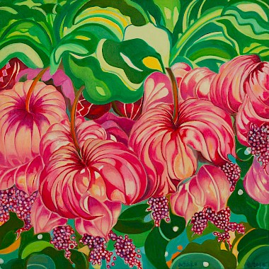 Medinilla
