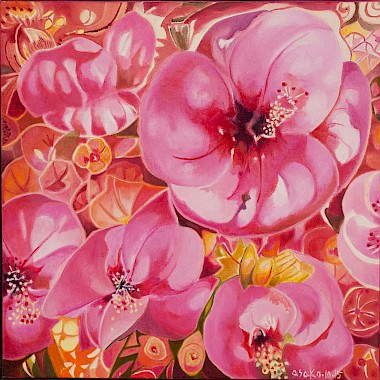 Ibiscus rosa
